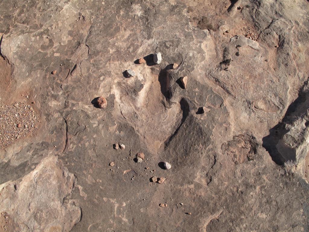 IMG_4368 (Large).JPG IMG_4368 (Large).JPG